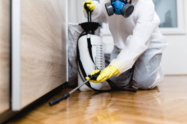 Best Flea Control Services  in Spring Valley, NV