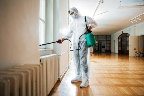 Best Pest Removal Services  in Spring Valley, NV