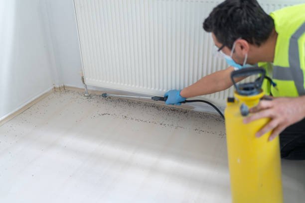 Spring Valley, NV Pest Control Company